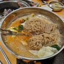 은행나무 갈매기 이미지