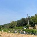 보리네숲어린이집 이미지