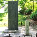 대구부수성비 Daum카페