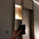 오월호텔(OWALL HOTEL) | 오월호텔 아쿠아 그레이 후기 : 도심에서 즐기는 가성비갑 호캉스/강남 수영장 호텔