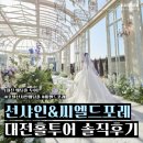 나이스포토 | 대전 웨딩홀 투어 후기 (계약O) : 대전 호텔 선샤인 웨딩, 씨엘드포레 직접 다녀왔어요! [W05]
