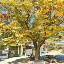 가학리경로당 이미지