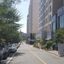 대덕대로167번길 이미지