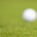 미리내골프아카데미 이미지