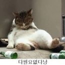 루시아 이미지