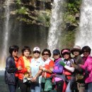 천지연폭포 이미지