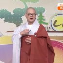 지혜로운 소나무