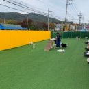 댕댕아리 이미지