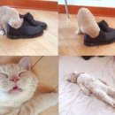 경남사 이미지