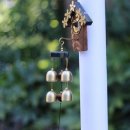 우드 스토리 이미지