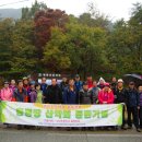 장성성산초등학교 이미지