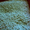 독한고양이 이미지