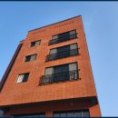 분당-295 | 분당 건물 외벽백화제거 업체 벽돌 이끼, 곰팡이세척 후기