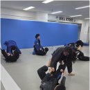 화랑합기도 주짓수 금촌도장 이미지