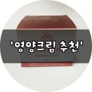 주식회사 클레오 | 안티에이징 - 클레오파인 영양크림추천 (파인바이오)