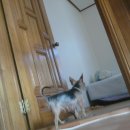 용담어린이집 이미지