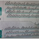성서초등서편육교밑 | 도문산 도덕산 구름산 가학산 서독산(2020.3.11) 구름산에 있는 노루귀를 찾아 보았는데~