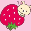 옷 사는 날 이미지