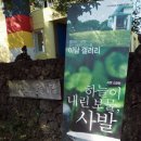이담갤러리 이미지