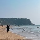 옥헤어싸롱개미와공작새
