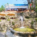 오두산 치유숲 이미지