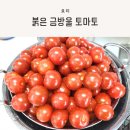 금홍 | 산지직송 방울 토마토, 금홍농장 붉은 금방울 토마토 활용 후기