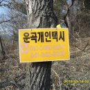 위라리 이미지