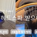 세진모드 이미지