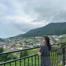 푸른들분식 - 남해군 남해대로 2835 | 푸른들분식
