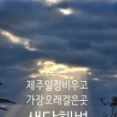 중문약천사 입구 도로변 | 제주 중문에서 가장 오래 머문 곳은 여기였다.