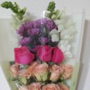 제주복어 이미지