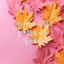 동물병원 산책 이미지