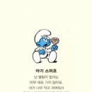 꼬숑 이미지