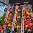 신탄만도프라자 네이버블로그