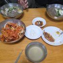 부원사 | 남대문시장 냉면 맛집 부원면옥 내돈내산 후기｜제육무침 꼭 먹어야 하는 이유