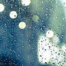 온천보라어린이집 이미지