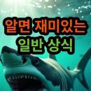 알면 재미있는 일반상식입니다 이미지