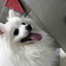 토곡동물병원 이미지