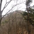장암1리경로당 티스토리
