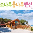 대천통나무소나무펜션 이미지