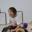 힐링주 이미지