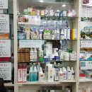 코코동물약국 이미지