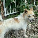 가평황토민박 이미지