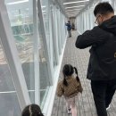 모두투어 통해서 다녀온 다낭 호이안 3박5일 패키지여행 내돈내산 후기 &lt;1편&gt; 무안출발