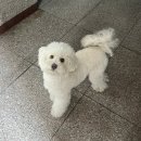 뷔페다미 | :-) + 3
