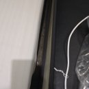 꽃보다무인텔 이미지