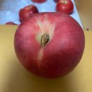 심복농장 이미지