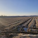 The오름공인중개사사무소 이미지