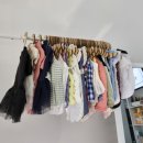 옥수수 펫샵 이미지