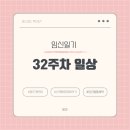 11.7kg, 식단, 브레짜 젖병세척기 구매, 베이비뵨 바운서 일본아마존 직구, 당근 신생아물품 세탁)